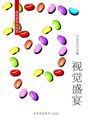 cover image of 视觉盛宴